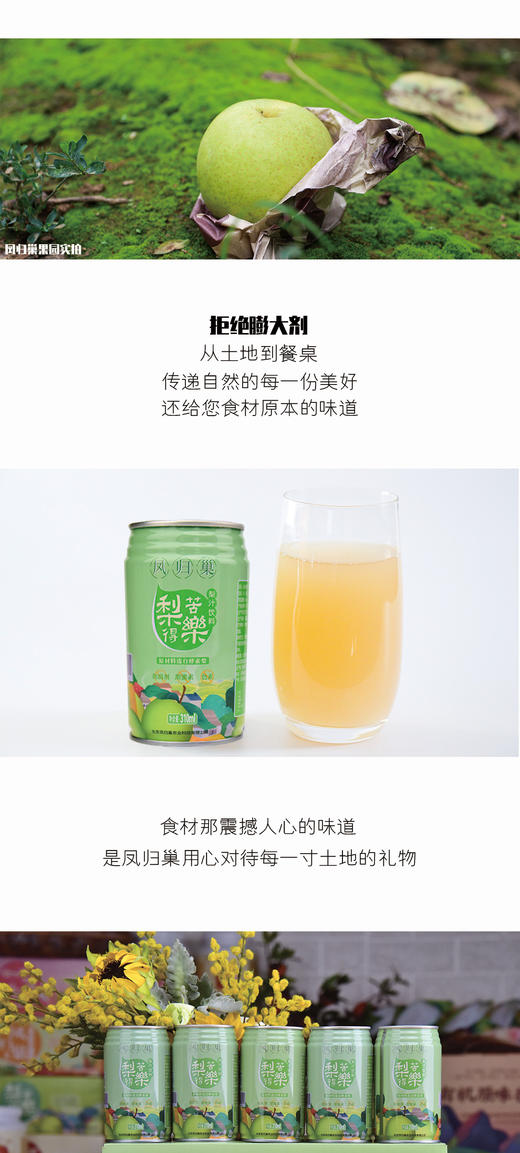 社区团购 凤归巢  梨苦得乐梨汁饮料   310ml*6罐/箱  包邮 商品图2
