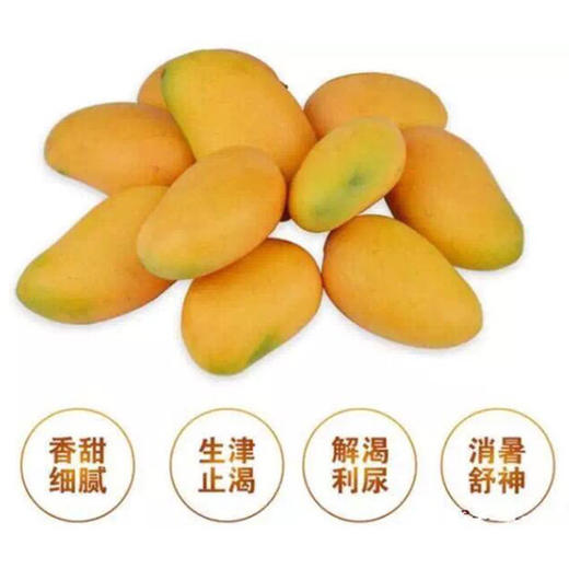 小台芒【约450g-500g】 商品图2