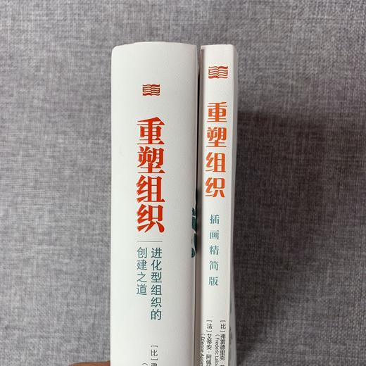 《重塑组织：进化型组织的创建之道》+《重塑组织：插画精简版》2本装 商品图4