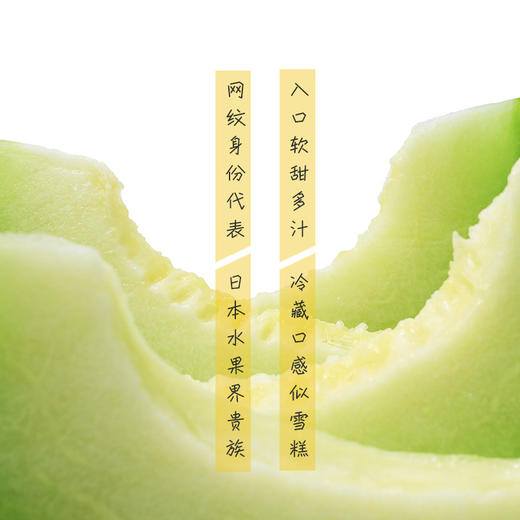 芭蕾网纹瓜-2个