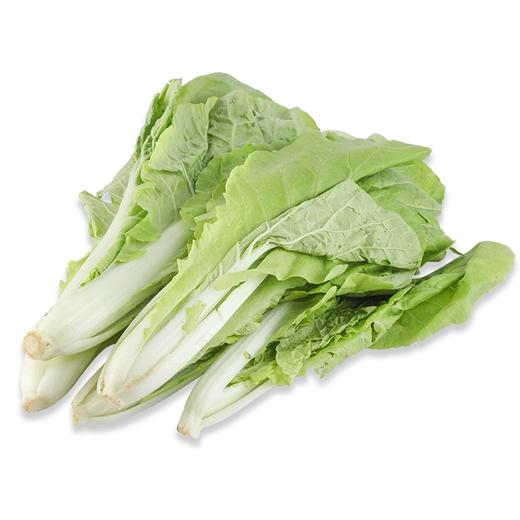 【有机种植】小白菜 300g左右 001
