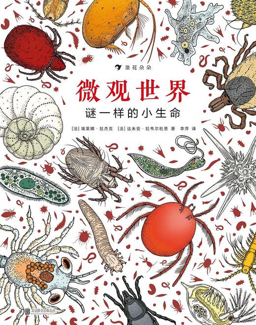 微观世界谜一样的小生命
