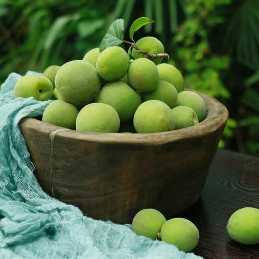 下单后不退单不改地址请谨慎云南新鲜野生青梅5斤装个头中等偏小介意