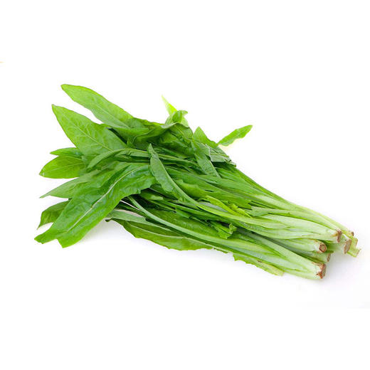 油麦菜【约450g-500g】 商品图1