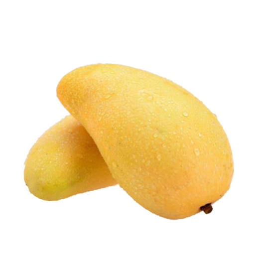 水仙芒【约650g-700g】 商品图2