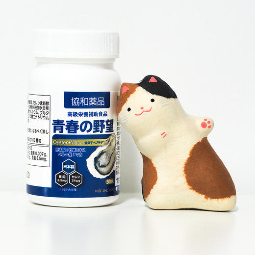 【买2送1热销中】日本牡蛎片 商品图4