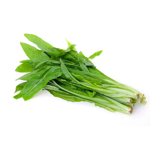油麦菜【约450g-500g】 商品图2