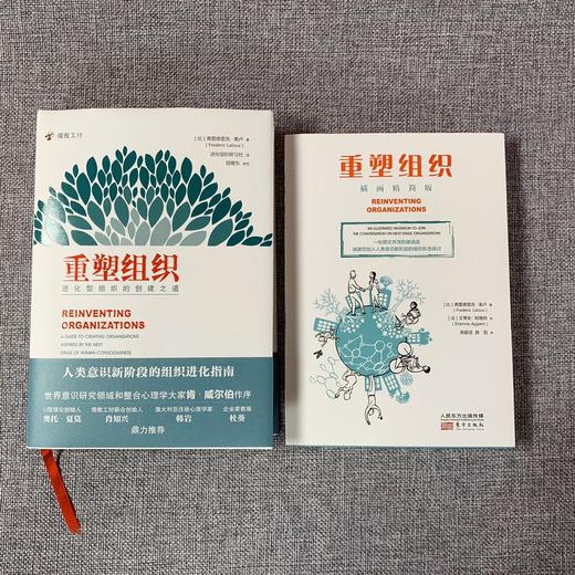 《重塑组织：进化型组织的创建之道》+《重塑组织：插画精简版》2本装 商品图5