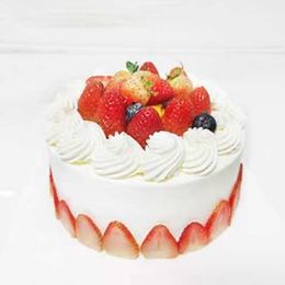 草莓围边🍓蛋糕（动物奶油）