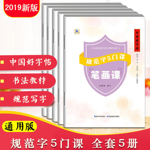 《中国好字帖 —— 规范字5门课》（5册）套装包邮 商品图0