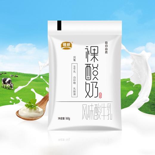 银桥乳业裸酸奶160g16袋oubbb