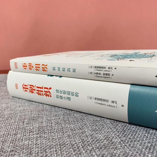 《重塑组织：进化型组织的创建之道》+《重塑组织：插画精简版》2本装 商品图3