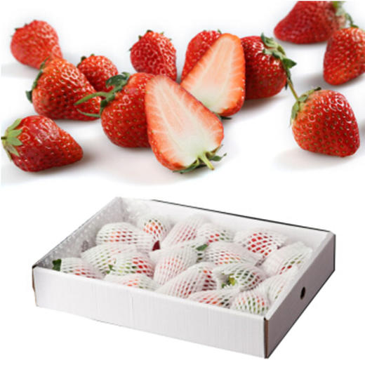 盒装巧克力草莓【1盒】 商品图0