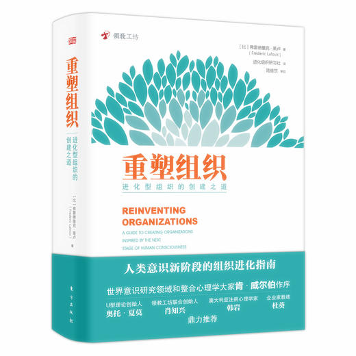 《重塑组织：进化型组织的创建之道》+《重塑组织：插画精简版》2本装 商品图7