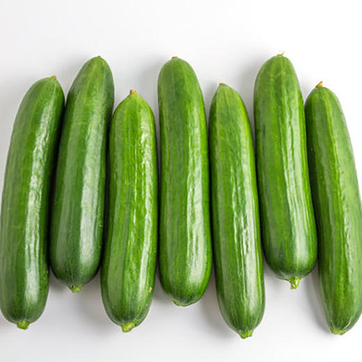 【有品特卖】水果黄瓜新鲜生吃蔬菜小黄瓜5斤