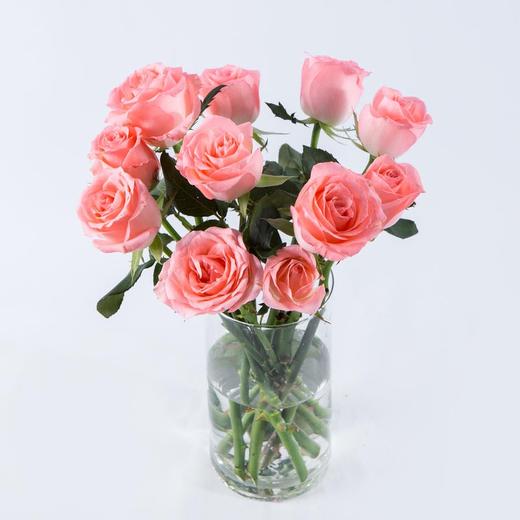 国产玫瑰ZS-戴安娜-B级-20枝/扎 商品图2