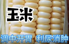 排骨薏米海带汤