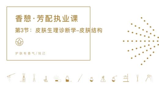 第3节：皮肤生理诊断学-皮肤结构 商品图0