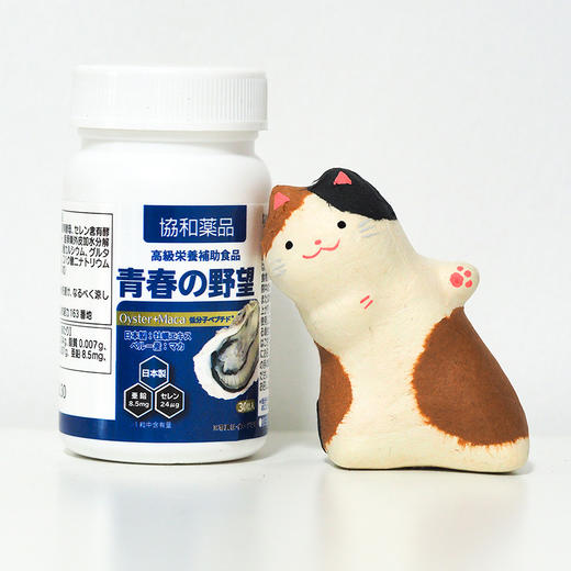 【买2送1热销中】日本牡蛎片 商品图2