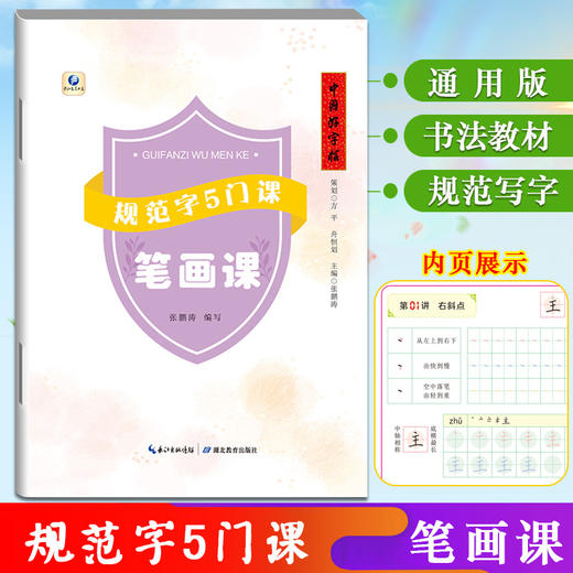 《中国好字帖 —— 规范字5门课》（5册）套装包邮 商品图2