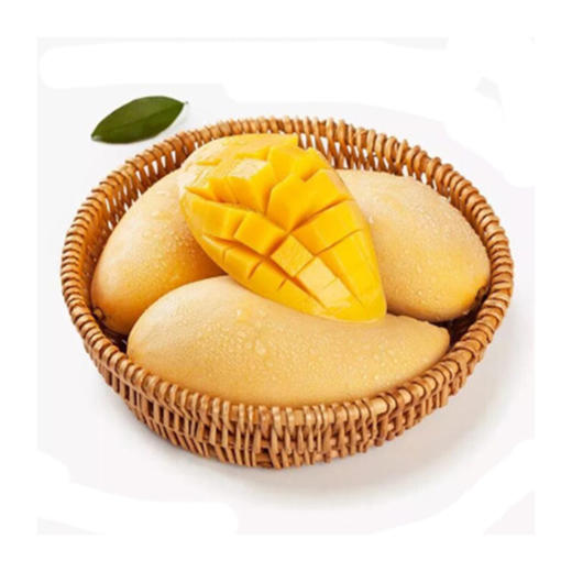 水仙芒【约650g-700g】 商品图0