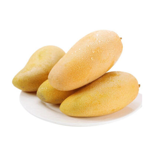 水仙芒【约650g-700g】 商品图1