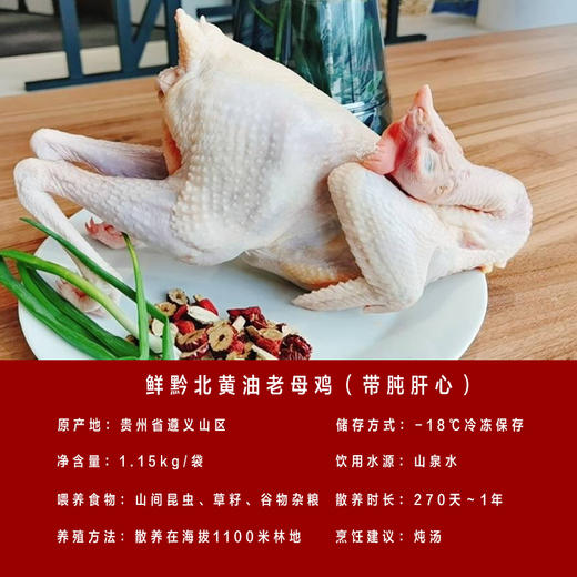 黔北黄油老母鸡【冷链配送】 商品图2