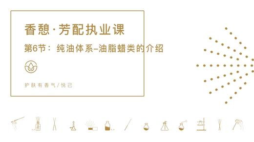 第6节：纯油体系-油脂蜡类的介绍 商品图0