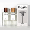 Loewe罗意威 001事后清晨破晓缠绵男士/女情侣香水 商品缩略图3