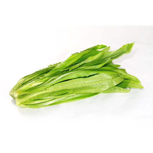 油麦菜【约450g-500g】 商品图0