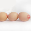 宝宝DHA新鲜生鸡蛋30枚装 商品缩略图3