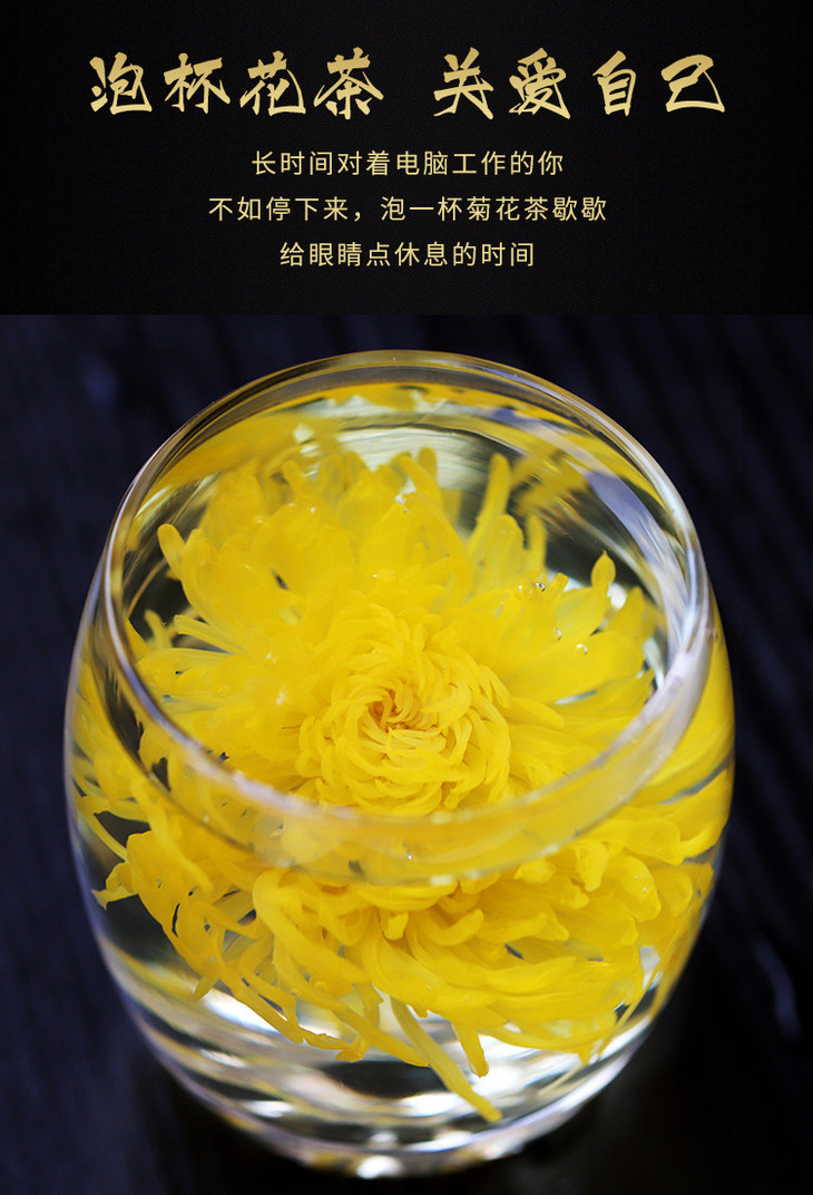 金丝皇菊1_16.jpg