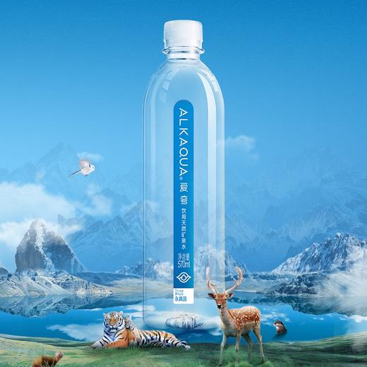 福州定制水福州企业定制水福州定制瓶装水 商品图0