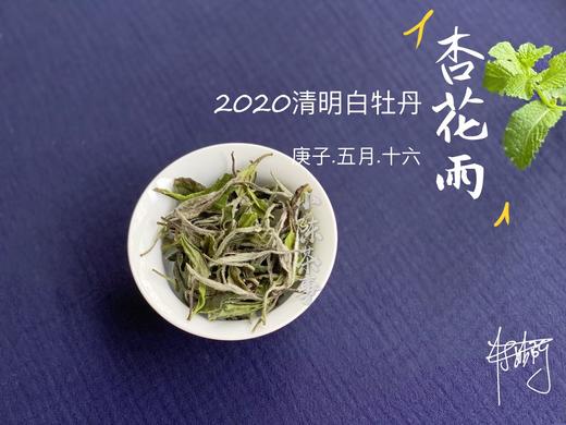 2021清明白牡丹杏花雨在洋槐甜香与幽兰清香间自如转换100克装