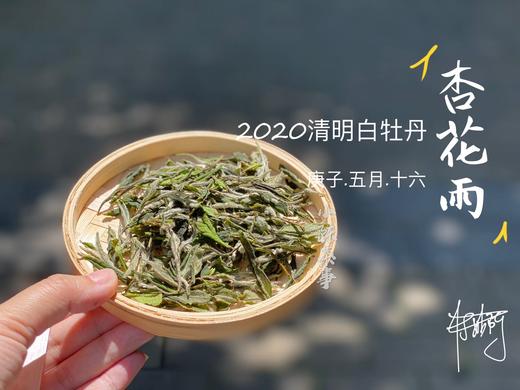 2021清明白牡丹杏花雨在洋槐甜香与幽兰清香间自如转换100克装