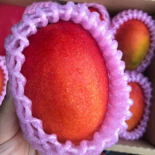 爱文芒，超高颜值，超赞口感，味道浓郁 口感香甜，肉厚核薄，水分超足，唯一一款没有纤维的芒果，非常好吃 商品图0