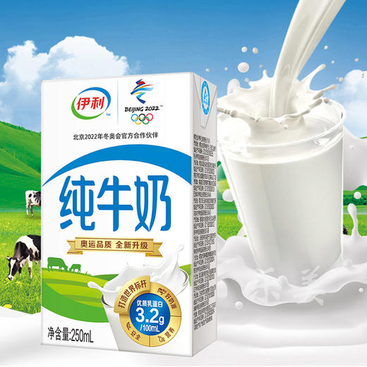 伊利纯牛奶250m*16/件 商品图0