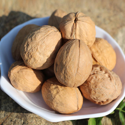 积石山县东西协作大河家蛋皮核桃500g袋