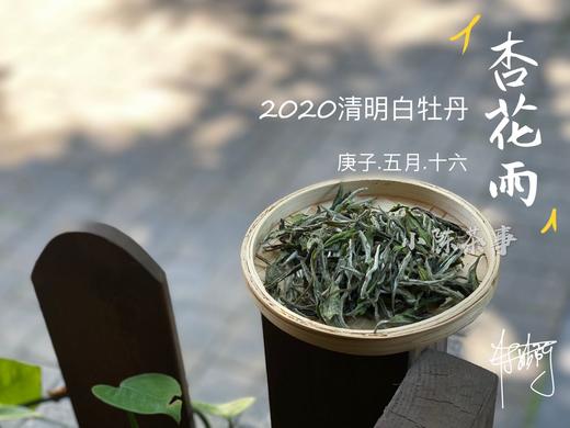 2021清明白牡丹杏花雨在洋槐甜香与幽兰清香间自如转换100克装