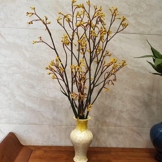 【袋鼠爪】黄色/红色 约5枝/扎 商品图0