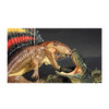 《恐龙再现II》捕捉史前古生物世界的梦幻光影 10-100岁 读小库 自然科普 古生物艺术 商品缩略图4