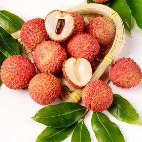 【玉雪肌肤罩绛纱】海南妃子笑 荔枝 果大 肉厚 色美 核小 味甜 品质风味优良  顺丰包邮