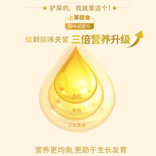 麦斯蒂猫咪零食 猫饼干宠物零食500g罐装 猫薄荷磨牙洁齿去毛球批发代发 商品图5