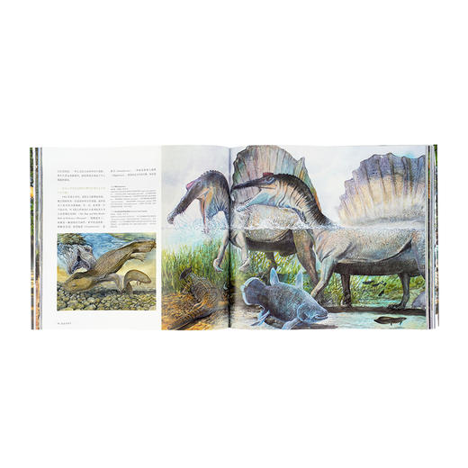 《恐龙再现II》捕捉史前古生物世界的梦幻光影 10-100岁 读小库 自然科普 古生物艺术 商品图3