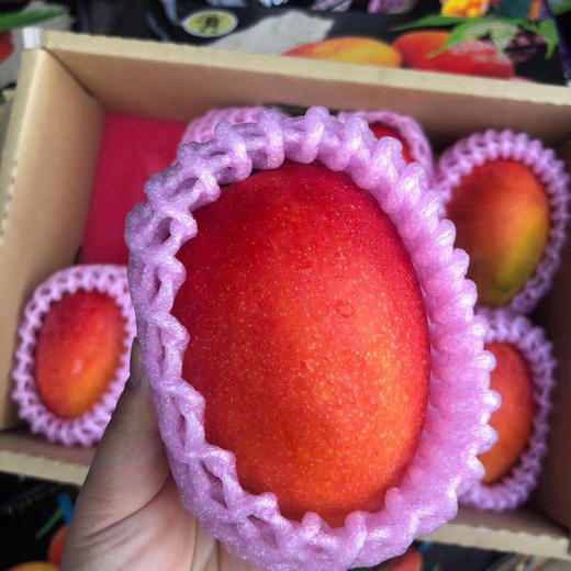 爱文芒，超高颜值，超赞口感，味道浓郁 口感香甜，肉厚核薄，水分超足，唯一一款没有纤维的芒果，非常好吃 商品图12