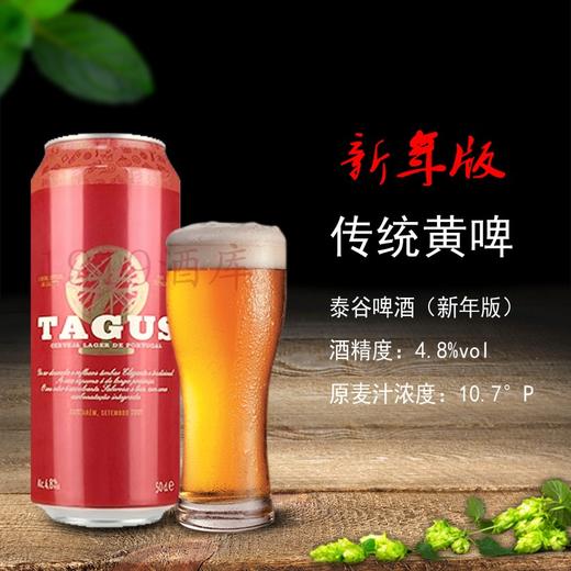 畅饮欧洲原装进口啤酒泰谷tagus啤酒500ml