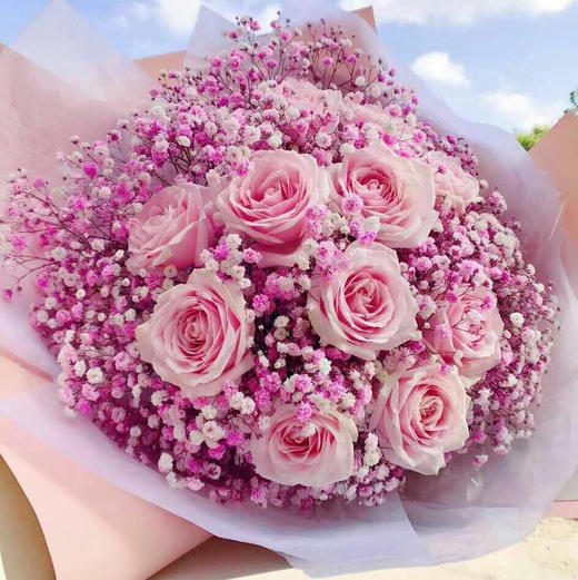 时尚粉玫瑰015款12朵玫瑰加满天星花束
