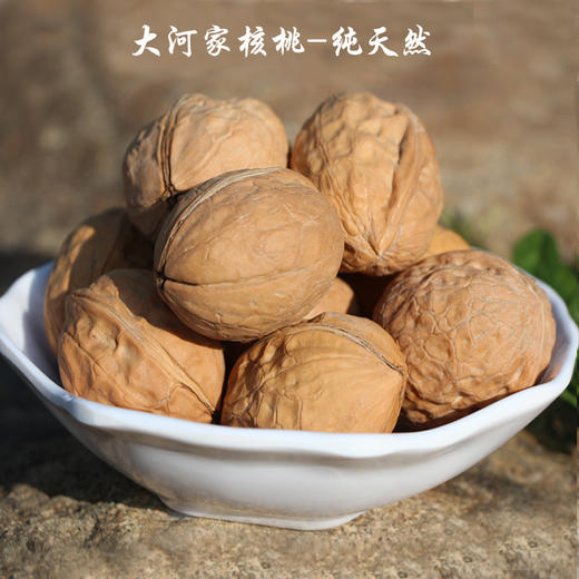【积石山县】东西协作-大河家蛋皮核桃 500g/袋 商品图1