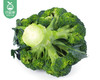 云南昆明新鲜西兰花（500g±50g/份） 商品缩略图1