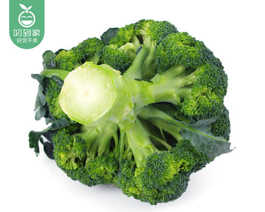 云南昆明新鲜西兰花（500g±50g/份） 商品图1